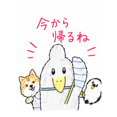 ハシビロコウのはっしーと仲間たち