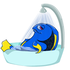 The Blue Tang Diaries
