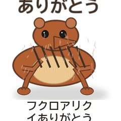 フクロアリクイありがとう