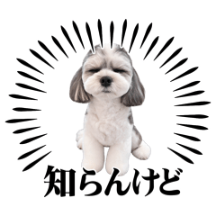 マルモコ日常