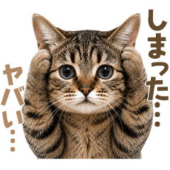 猫のすたんぷ。。可愛い仕草で毎日使える2