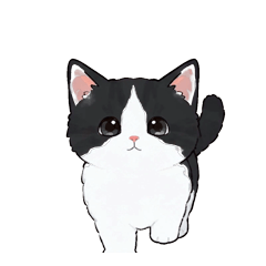 動く！かわいく動くハチワレねこ
