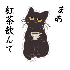 Hanmari cats.