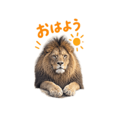 オスライオンのスタンプ