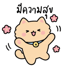 Happy Cat TH