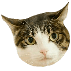 もことらスタンプ