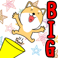 【BIG】毎日使える　柴犬のしばくん3