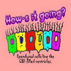 Greetings with neuroscience