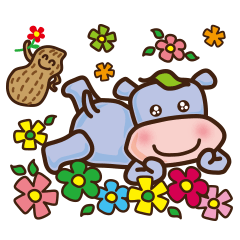 Heart flowers blooming