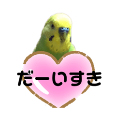 海辺のももちゃん2