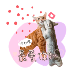 Lululu_20220802232608