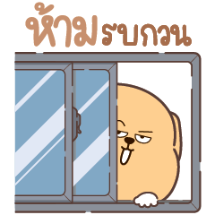 .. Doggi so lazy all day long ..