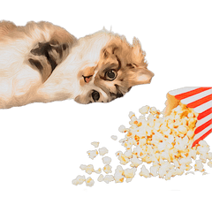 シュールなねこスタンプ-ノルウェージャン