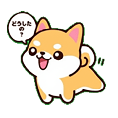 SHIBA INU CHAN CHAN