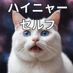 氣づいた宇宙猫