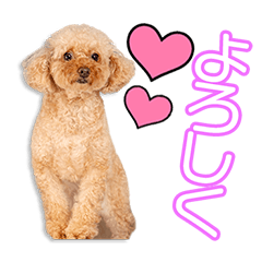 北川家のムギちゃん