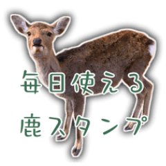 毎日使える　鹿スタンプ *asachi