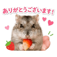ちょこんとハムのやわらか仕事スタンプ