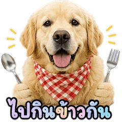 Cute Golden Retriever V.4