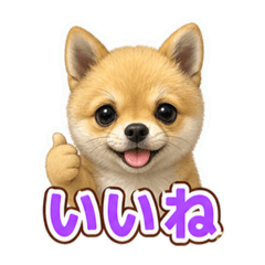 ヒデシャン