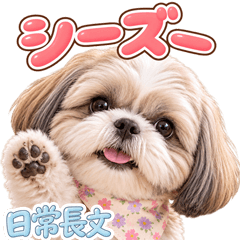 とびだす 日常長文♡シーズー♡犬 いぬ