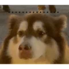 Doris_20230405214303