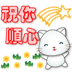 Cute white cat - - Practical  greetings