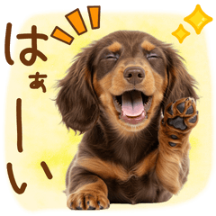 ゆるかわ！ダックスの日常スタンプ