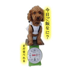 ラキラキラッキー2025