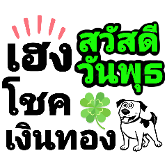 Dogs 2 Greets Monday-Sunday