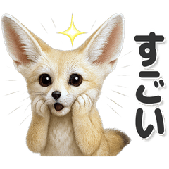 毎日使える！かわいいフェネック
