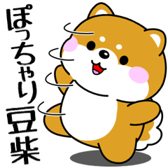 飛び出す！ポジティブなぽっちゃり豆柴