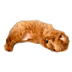 ピノ汎用性抜群スタンプ