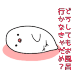 風呂キャン文鳥2