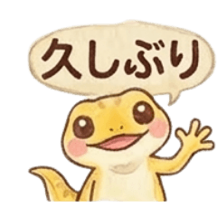 ヤモリの使える日常♡よく使うやつ