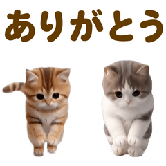 動く！ネコたち！にゃんだふる～