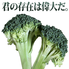 全てを肯定するブロッコリー