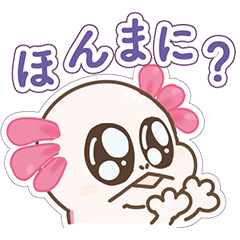 もっちりうぱさん✨ウーパールーパー関西弁