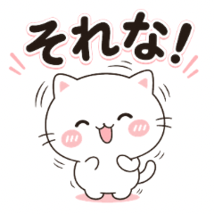 Yuru Neko Tukkomi