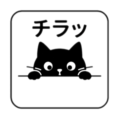 毎日使える、黒猫