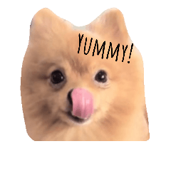 cute doggy dena&donut