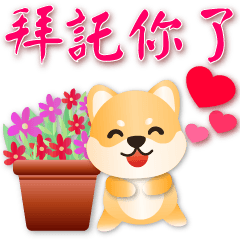 Cute Shiba - -Practical Phrases