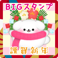 BIGかわいい♥マルチーズ年末年始&お正月14