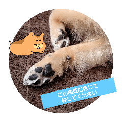 私はぽめらにあん2