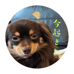 みるく&もかの日常スタンプ②