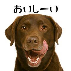 毎日使える！チョコラブの日常・透過版