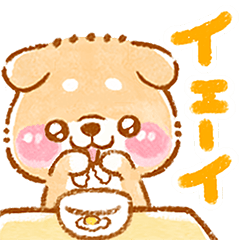 動くこしばちゃん4❤️柴犬子育て児赤ちゃん