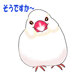 文鳥さんの日々