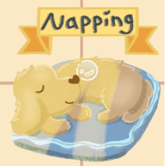 DACHSHUNG DOG LIFESTYLE