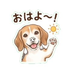 Beagle - Daily Chat Stickers